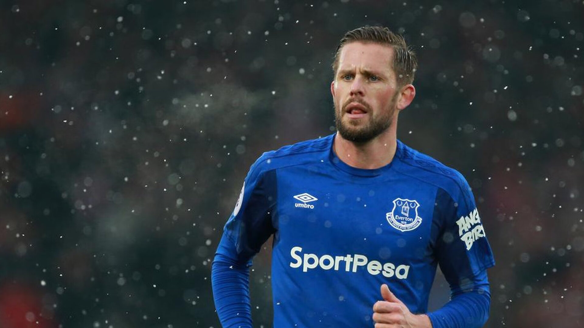 F1圣保罗站赛前展望:诺里斯抢占先机,维斯塔潘坐看迈凯伦内斗,圣保罗vs弗拉门