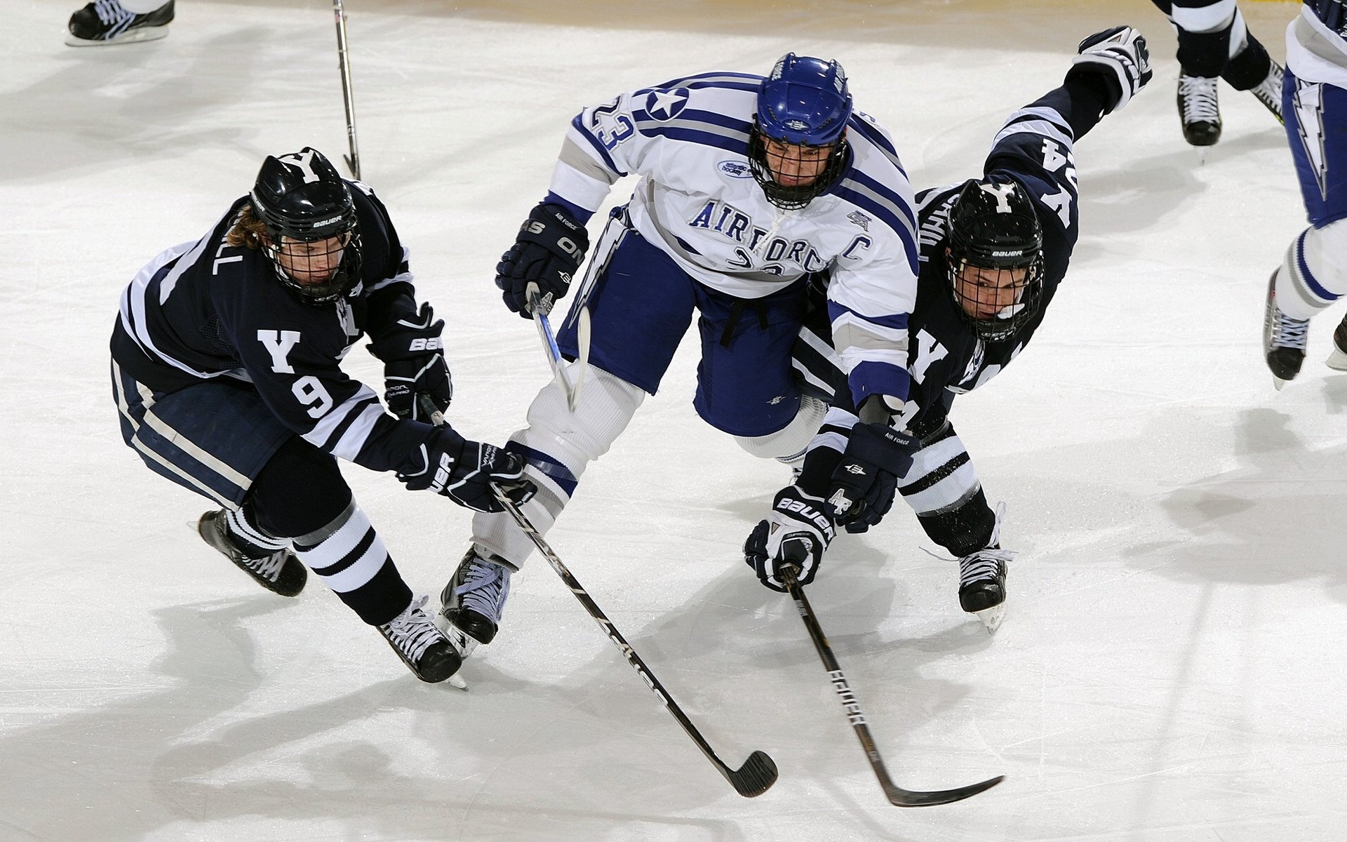 体育焦点人物专题深度解析，体育聚焦